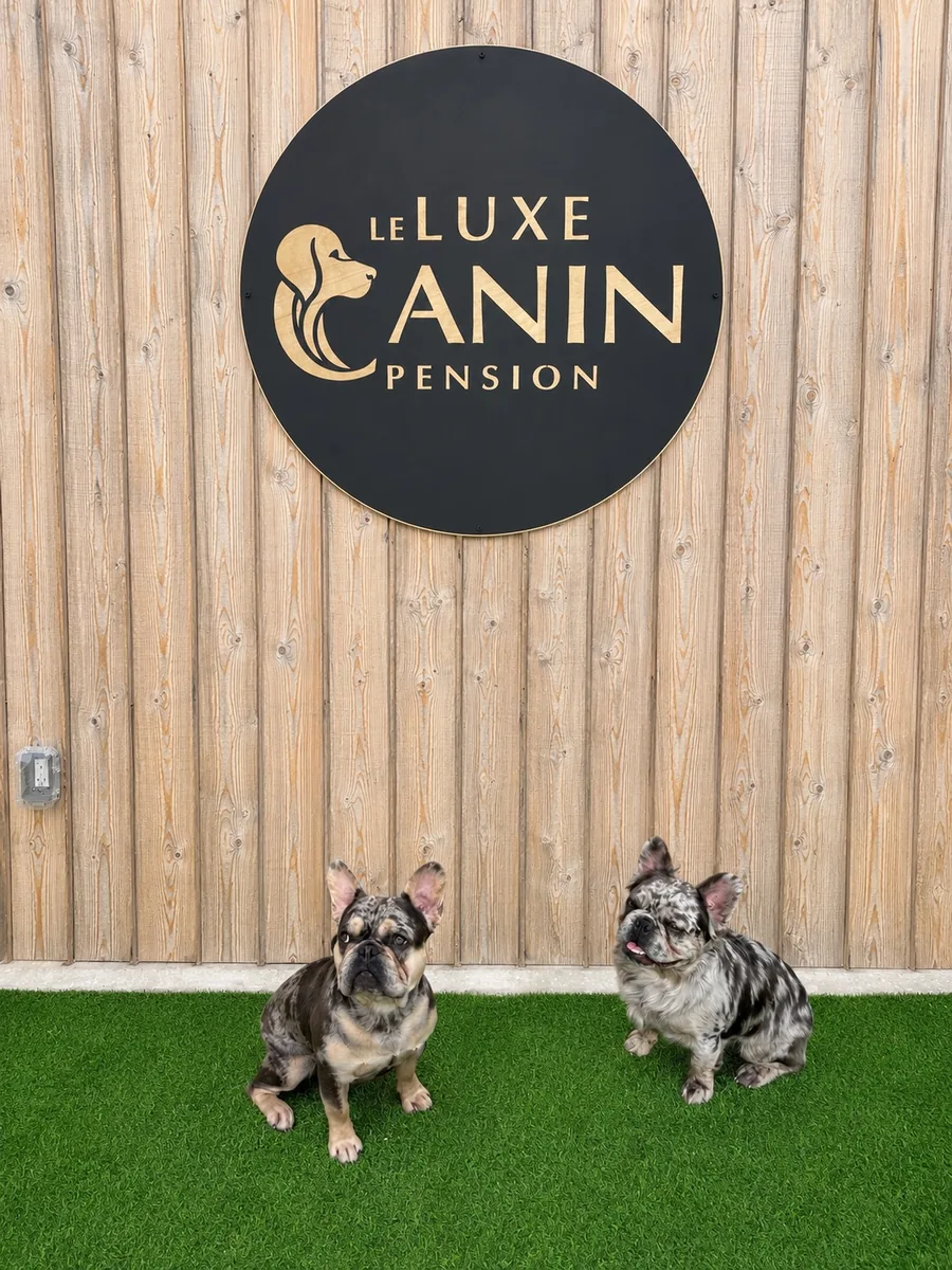 Logo officiel Le Luxe Canin